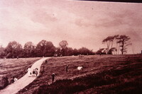Redhill 1910s