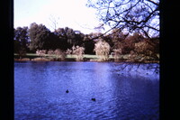 Reigate 1968