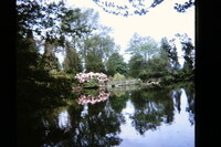 Reigate 1968