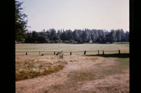 Redhill 