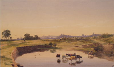 Picture from the art gallery