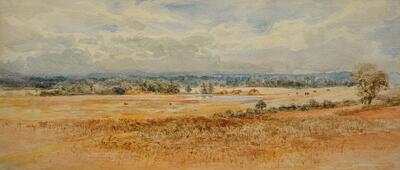 Earlswood Common, Redhill