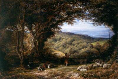 Underneath the Hawthorn Tree