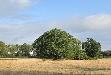 a-history-of-earlswood_image1.jpeg