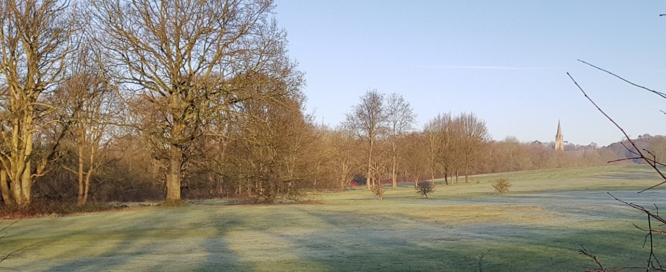 a-history-of-earlswood_image10.jpeg