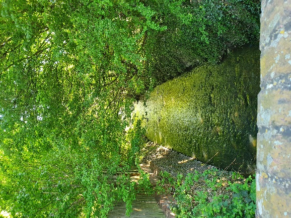 a-history-of-earlswood_image3.jpeg