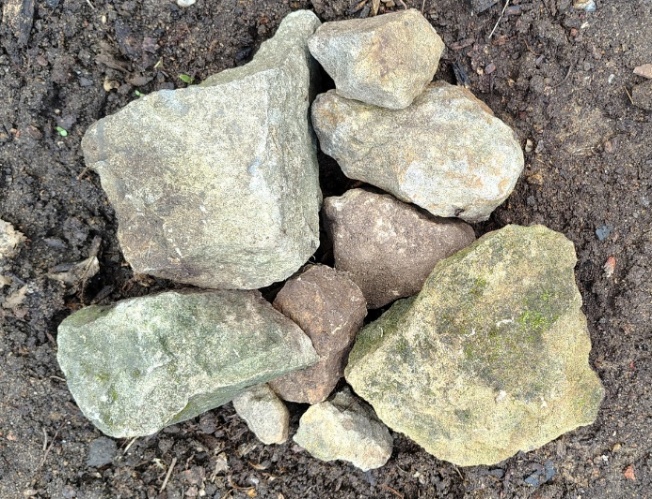 A group of rocks in the dirt AI-generated content may be incorrect.